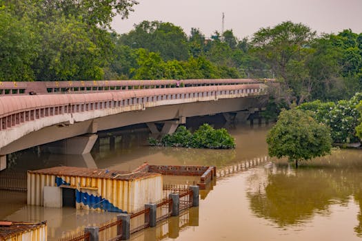 Flooded area under a bridge in New Delhi, surrounded by trees and murky water.